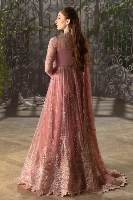 Rosa - Image 3