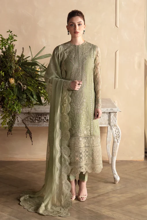 Cassia - Image 5