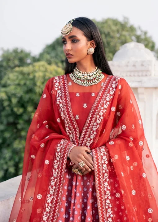 AFREEN - Image 5