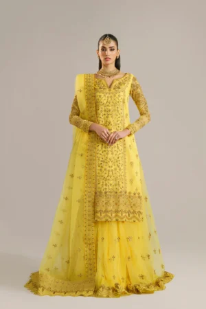 HAREEM