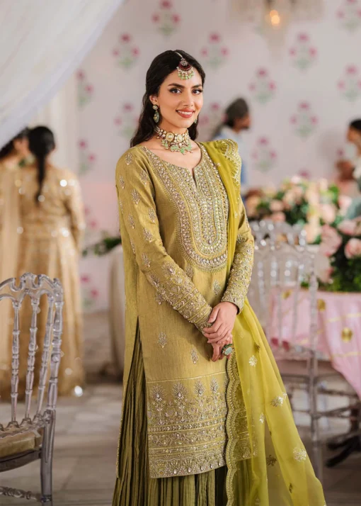MEHARZAD - Image 2