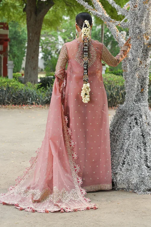 RF-02 SALEHA - Image 4