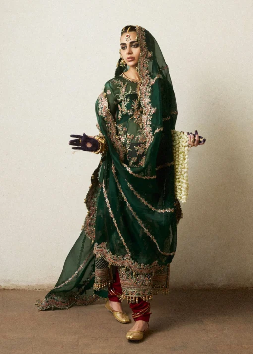 Jamali - Image 6