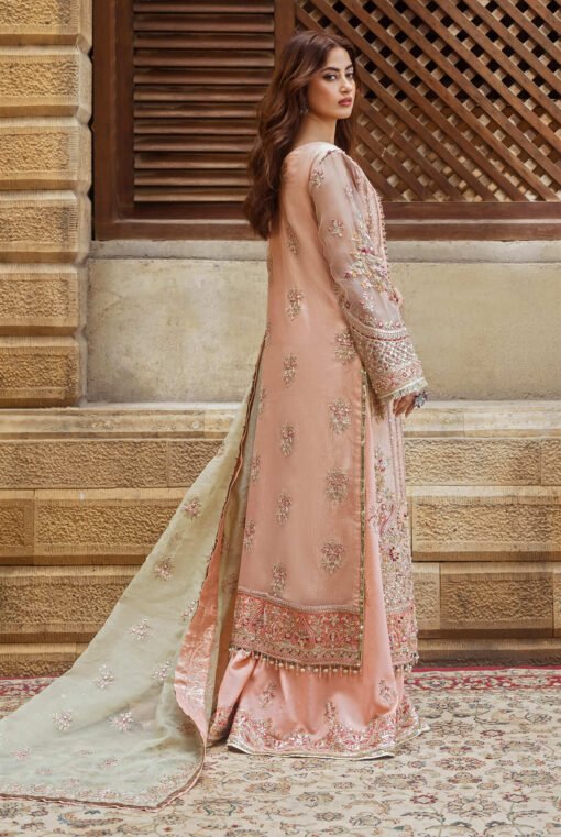 SB-27 Zarqash - Image 3