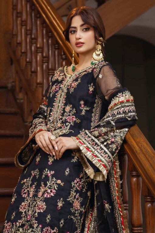 SB-32 Mehrang - Image 3