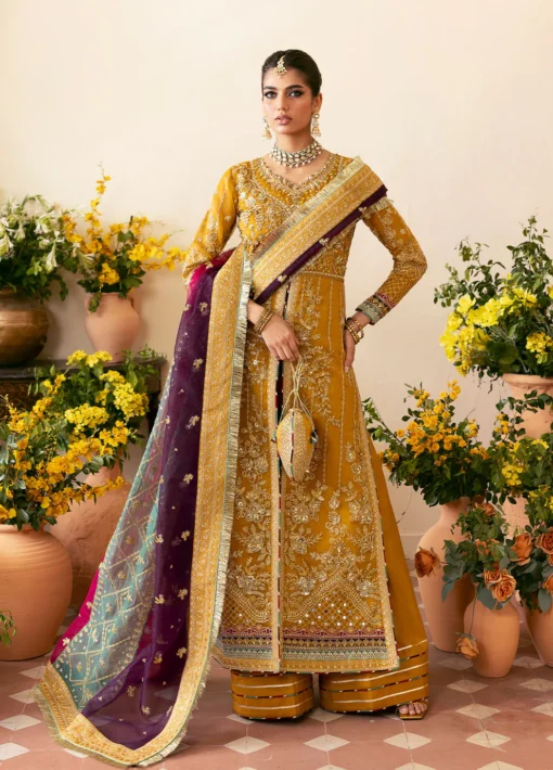Nayaara - Image 3