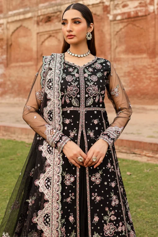 Black Regal - Image 3