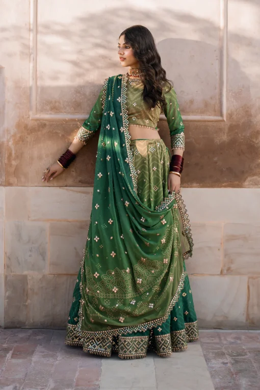 UE-328 Embroidered Chiffon - Image 4