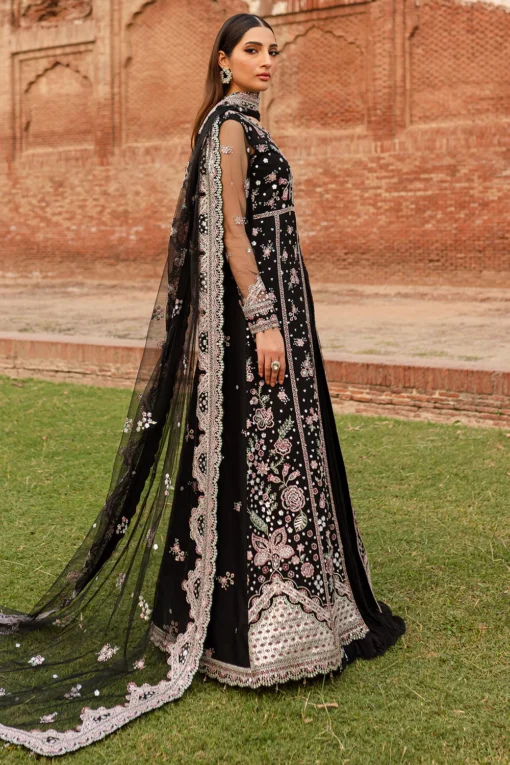 Black Regal - Image 4