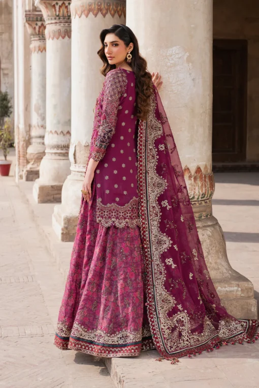 ILC-04 Embroidered Chiffon - Image 18