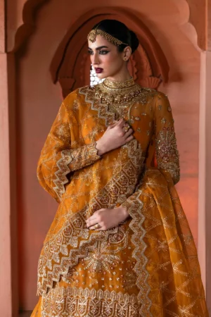 Alternative view of AA - ZAREEN