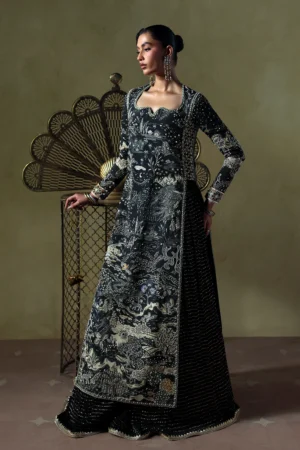 Alternative view of ZYRA