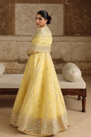 Alternative view of RH-06 HOOR