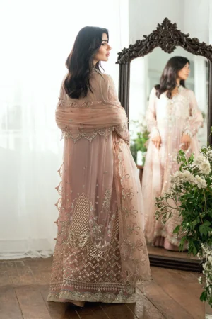 Alternative view of Shehnai