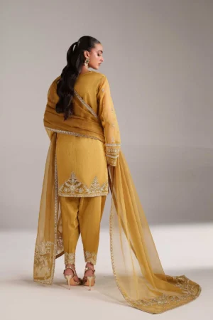 Alternative view of Paree