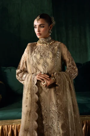 Alternative view of Q-207