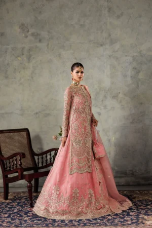 Alternative view of NAQSHE