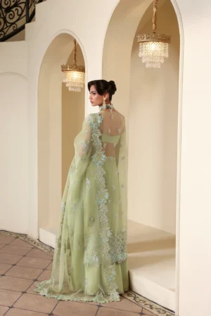 Alternative view of SELENE