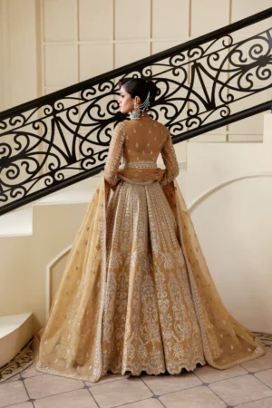 Alternative view of AVELINE