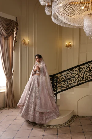 Alternative view of CECILIA