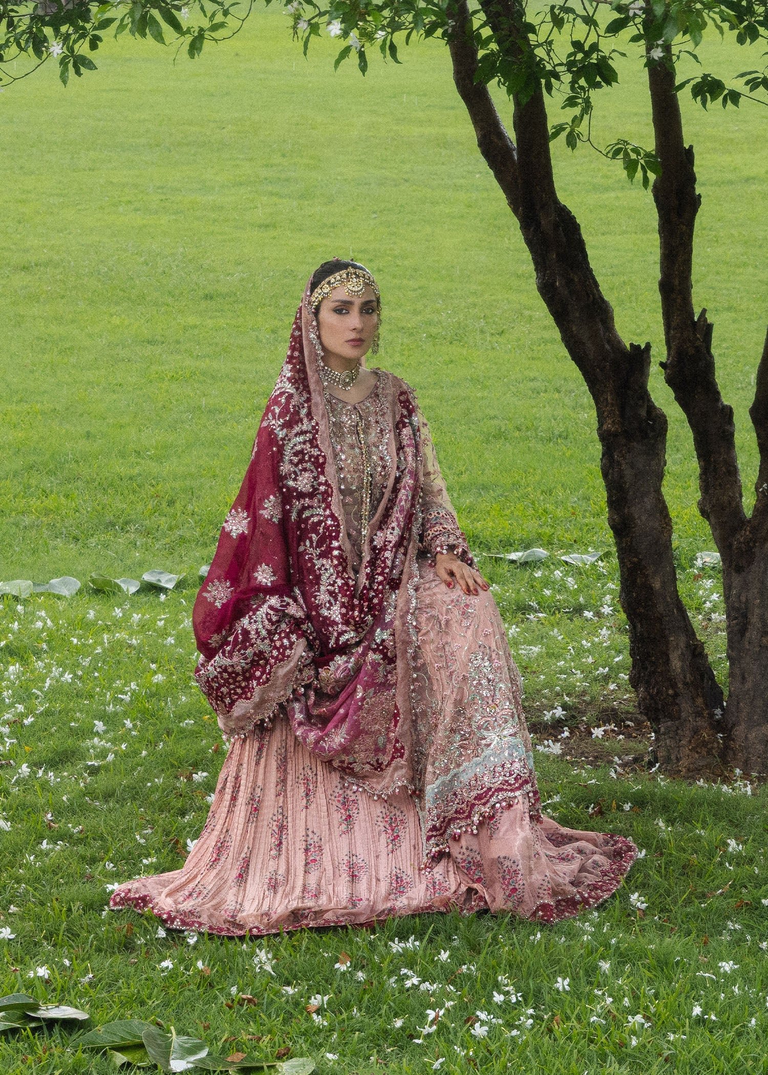 HR - Gulrukh - Image 4