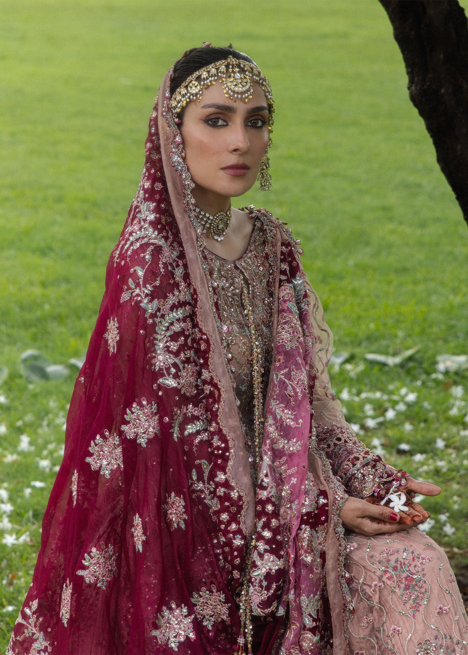 HR - Gulrukh - Image 6