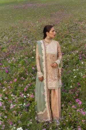 HR - Gohar Ara