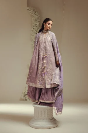 AIK SHAAM - LOOK C2602